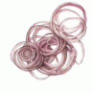 Disque éminceur 1 mm - Ø 175 mm | Robot Coupe | Robotcoupe - 27051