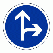 Panneau B21d1 - Directions obligatoires