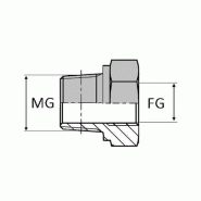 Adaptateur droit mâle gaz conique x femelle gaz cylindrique concentrique - 1" , 33.24 , 3/4' , 24.12