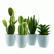 Plante grasse verte artificielle en plastique dans pot 9x25cm - 4 modèles disponibles - Thème Hacienda