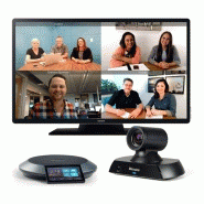 Lifesize icon 450 Lifesize icon 450