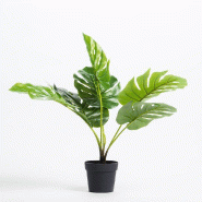 Plante verte dans pot Ø32 x H46cm