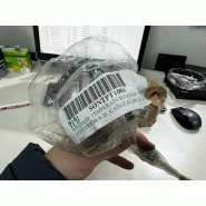 Sonde de température pt100 inutilisée