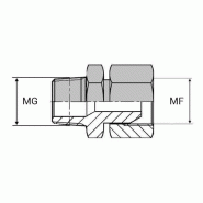Adaptateur droit mâle gaz conique x femelle tournant DIN - 1/2' , 20.95 , 22X150