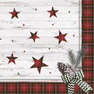 DUNI - Serviette Airlaid Dunilin 40x40cm Naturally Winter - 5x45 = 225 pièces - multicolore Matériau naturel 228895