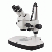Stéréomicroscope motic série k - système optique à l'infini