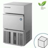 Machine à Glaçons Plein 25 Kg/24h - Stockage 11,5 Kg - Hoshizaki - inox IM-21CNE-HC Machine à Glaçons Plein 25 Kg/24h - Stockage 11,5 Kg - Hoshizaki - inox IM-21CNE-HC