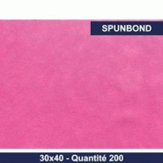 García de Pou Set de table 30x40 - Spunbond - Framboise - x200 - GARCIA DE POU - rose 7863577504776 García de Pou Set de table 30x40 - Spunbond - Framboise - x200 - GARCIA DE POU - rose 7863577504776