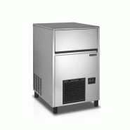 Machine à glaçons pro 18 g avec stockage 28 kg - production 57 kg/24h - PTC57