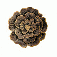 Aulica Dessous d'assiette fleur noire et dorée - Lot de 6 - doré 267801 Aulica Dessous d'assiette fleur noire et dorée - Lot de 6 - doré 267801