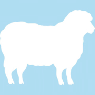 Tableau blanc mouton