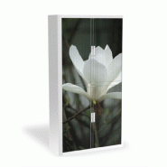 Armoire à rideaux avec décor nature - EasyOffice. - Edelweise, Haute_0