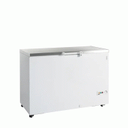 Congélateur de crème glacée FR405S SL (385 / 377) blanc TEFCOLD