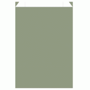 Pochettes cadeau kraft lisse vert olive 24x9x41 cm - par 150
