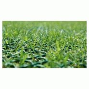 Protection de pelouse grille tr - 2m x 30m - référence :1803