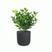 Vase Cylindrique En Résine Raffaello Grigio 35X34Cm Pour Plantes D'Intérieur Et D'Extérieur - gris 8055829983135