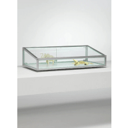 Vitrine plate inclinée c12tbva - aluminium anodisé Vitrine plate inclinée c12tbva - aluminium anodisé