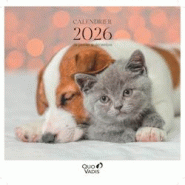 Quo Vadis - Calendrier à feuillets - Spiralé - 2026 - Français - Fantaisie - Multicolore - 12 mois de janvier à décembre - 30x30 cm - 238459Q