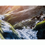 Récupérateur d eau de pluie