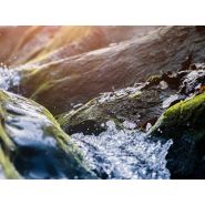 Stockage de liquides - Choix de votre cuve-citerne avec X'Pertus