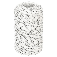 Vidaxl corde de bateau tressé blanc 2 mmx100 m polyester 152743