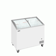 Congélateur coffre avec couvercles coulissants vitrés bombés - 230 L | Tefcold - IC301SCEB