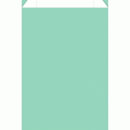 Pochettes cadeaux kraft lisse vert d'eau 31x8x48.5cm - par 150