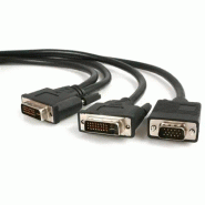 StarTech Cble répartiteur en Y / Splitter vidéo DVI (M) vers