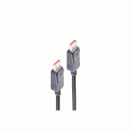 Shiverpeaks Câble DisplayPort 1.4 BASIC-S, 5 m - noir 4017538134202