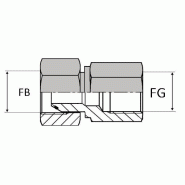 Adaptateur droit femelle tournant BSP x femelle gaz cylindrique - BFFG000202 - FBSP 1/8 / FG 1/8