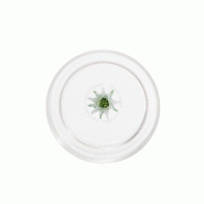 Zafferano Teca Verres Tumbler Winter Game Stella Alpina en verre borosilicaté fait à la main, 35 cl, idéal pour l'eau, les cocktails et autres bois
