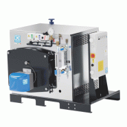 Générateur de vapeur instantanée Fx n - Rendement élevé 91% - Production de vapeur 50g/h à 300kg/h