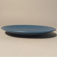 Assiette réutilisable bleu canard modèle Phoenix Ø25,8 x 3 cm - par 12