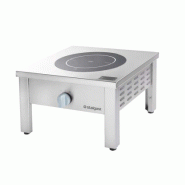 Réchaud à induction - Longueur 600 mm - Puissance 8 kW - 9 niveaux de puissance - Adapté aux grandes casseroles 50 à 100 L Réchaud à induction - Longueur 600 mm - Puissance 8 kW - 9 niveaux de puissance - Adapté aux grandes casseroles 50 à 100 L