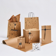 Sac luxe Constellation cuivre poignées papier noir 35x14x40cm - par 25