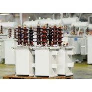 Transformateur de puissance - SACEM - monophasés de 5 à 630 kVA - classe de tension 24 à 36 kV Transformateur de puissance - SACEM - monophasés de 5 à 630 kVA - classe de tension 24 à 36 kV