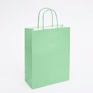 Sac kraft vert d'eau poignées torsadées coordonnées 22x10x29cm - par 50