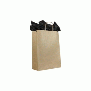 Sac papier kraft lisse économique