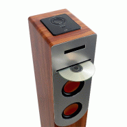 Tour de son finition 100W Bois avec lecteur CD, Bluetooth, FM et USB, Télécommande, Colonne, Jeux lumières Bagues LED inclus - 3666638043412