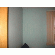 Peinture murale naturelle veloutée 0,75 litre biorox Peinture murale naturelle veloutée 0,75 litre biorox