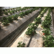 Toile de paillage 100% chanvre - 50m x 120cm, biodégradable et utilisable en agriculture biologique