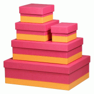 Set de 5 boîtes gigognes Rhodiarama, finition simili cuir italien, coloris framboise - rose 318982C