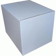 Caisse carton blanche pour plateaux repas 46x36x35 cm par 10