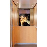 Eesy - ascenseurs classiques - sodimas - charge de 180 à 1000 kg