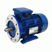 Moteur électrique Triphasé 400/700v 7,5 Kw 3000 Tr/min  - Ms132s224b35 Bride B35 - Bobinage Cuivre