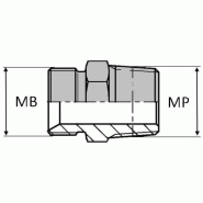 Adaptateur droit mâle BSP pour bague BS  x mâle NPT - 1"1/2' , 47.8 , 1"1/2' , 48.05