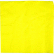 Firplast Serviette 38x38 2 plis ouate jaune vif (X2400) - marron 13353890031611 Firplast Serviette 38x38 2 plis ouate jaune vif (X2400) - marron 13353890031611