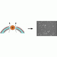 Antimousse moléculaire surfynol® md-20