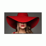 Philips 55BDL4650D àÉcran plat de signalisation numérique 139,7 cm (55") LCD Wifi 500 cd/m² 4K Ultra Philips 55BDL4650D àÉcran plat de signalisation numérique 139,7 cm (55") LCD Wifi 500 cd/m² 4K Ultra