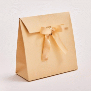 Pochette cadeau carton kraft avec ruban doré satiné 14,5x6,5x14cm - par 10